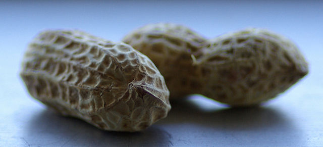 Image:Peanut closeup.jpg