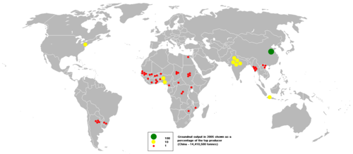 Groundnut output in 2005.