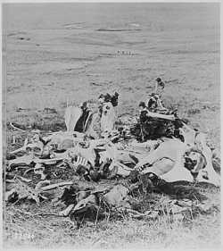 Scene of Custer's last stand, looking in the direction the Indian village and the deep ravine. Photo by Stanley J. Morrow, spring 1879.