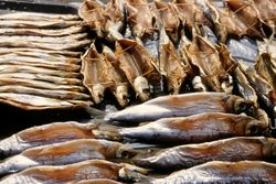 Omul Fish at the Listvyanka market.