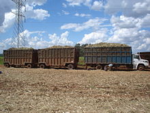 Sugarcane mechanical harvest in Jaboticabal, São Paulo state, Brazil.