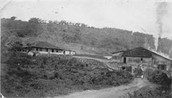 Sugar mill in 1950 years, Pernambuco, Brazil