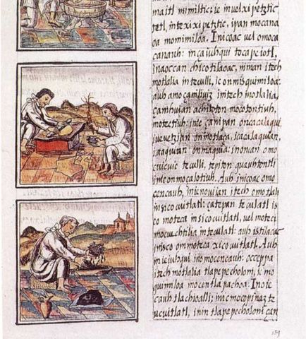 Image:Codex florentino 51 9.jpg