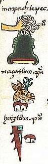 The placenames Mapachtepec ("Raccoon Hill"), Mazatlan ("Deer Place") and Huitztlan ("Thorn Place") written in the Aztec writing system. From the Codex Mendoza.