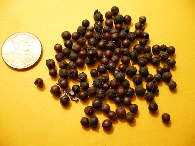 Image:Cubebberries.JPG