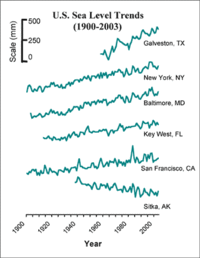 U. S. Sea Level Trends 1900-2003
