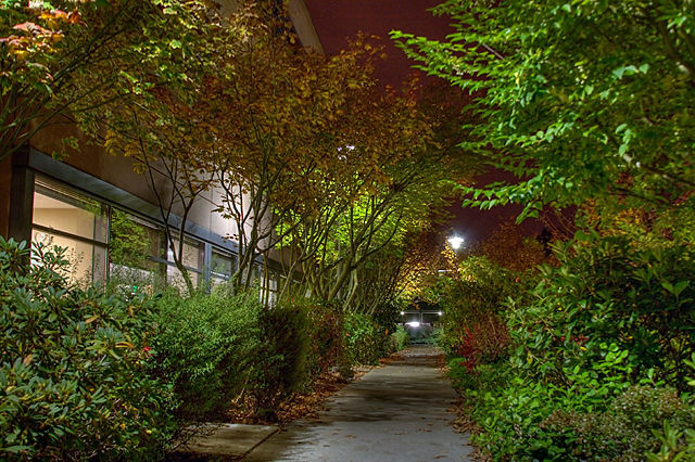 Image:Cafeteria Way at Redmond West.jpg