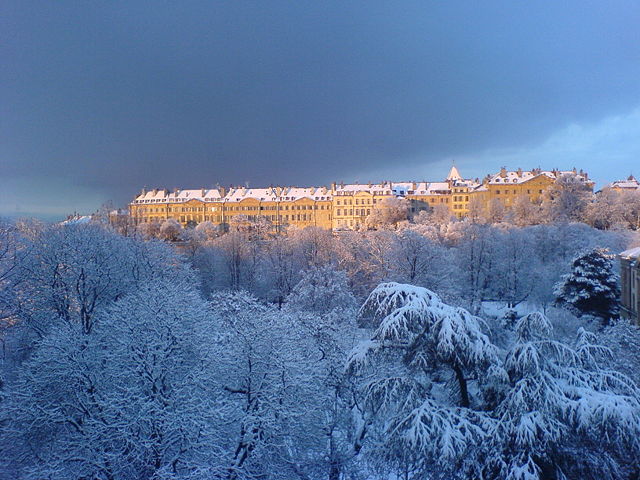 Image:Ginebra-Suiza-NieveDeEnero-02.jpg