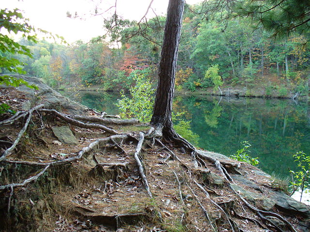 Image:WisconsinScenery.jpg