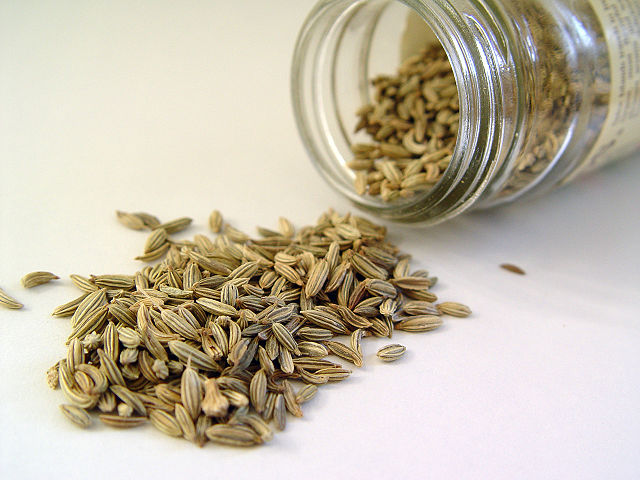 Image:Fennel seed.jpg