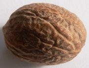 Nutmeg