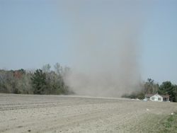 Dust devil in Johnsonville, South Carolina.