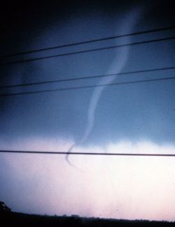 A rope tornado in its dissipating stage.