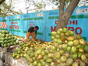 Green Coconut Vendor in Delhi, India in Summer