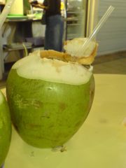 A relatively young coconut which has been served in a hawker centre in Singapore with a straw with which to drink its coconut water.