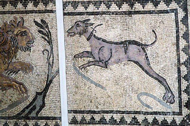 Image:DogMosaic wb.jpg