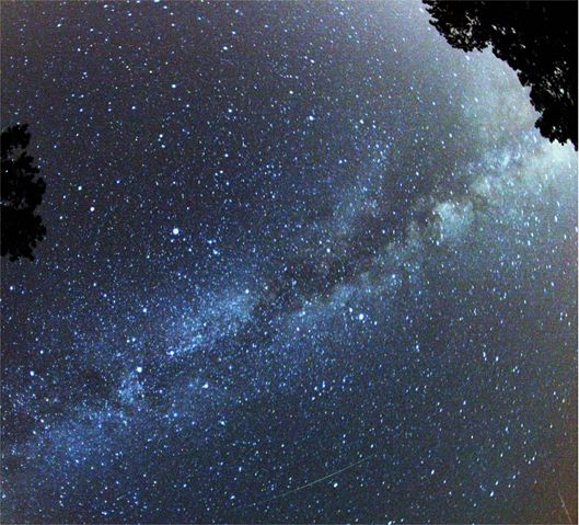 Image:Perseid Meteor.jpg
