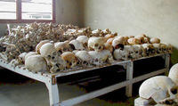 Skulls in Murambi Technical School