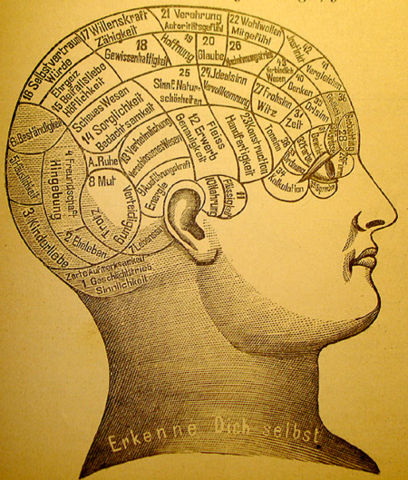 Image:Phrenology1.jpg