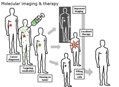 A schematic illustration showing how nanoparticles or other cancer drugs might be used to treat cancer.