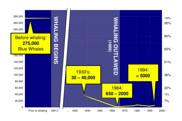 Image:Blue Whale population, Pengo.svg