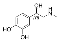 Epinephrine (adrenaline), a catecholamine-type hormone