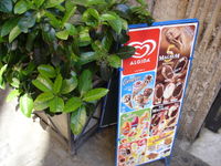 An ice cream menu from Unilever's Italian subsidiary Algida.