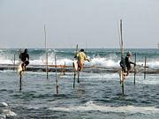 Stilts fishermen, Sri Lanka