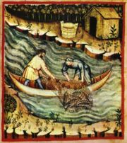 Fishing , tacuinum sanitatis casanatensis (XIV century)