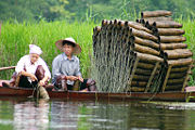 Fishermen with traditional fish traps, Hà Tây, Vietnam