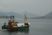 A trawler leaving the port of Ullapool, north-west Scotland.