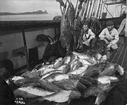 Commercial fishermen in Alaska, early 20th century