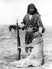 Bedouin hunter with a Asiatic Cheetah and cub, Iraq, 1925. Widespread hunting of this animal and its prey species along with conversion of its grassland habitat to farmland has wiped it out completely from its entire range in southwest Asia and India. Critically endangered with extinction fewer than one hundred Asiatic cheetahs survive only in the central desert of Iran