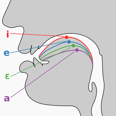 Image:Cardinal vowel tongue position-front.svg
