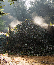 An active compost heap.