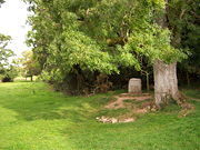 The monument at the official source of the Thames.