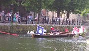 Swan Upping - skiffs surround the swans