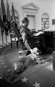 Ford and his golden retriever Liberty in the Oval Office, 1974