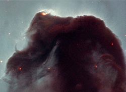 In 2001, NASA polled internet users to find out what they would most like Hubble to observe; they overwhelmingly selected the Horsehead Nebula.