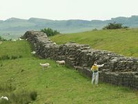 Hadrian's Wall near Birdoswald Fort, with man spraying weed-killer to reduce biological weathering to the stones