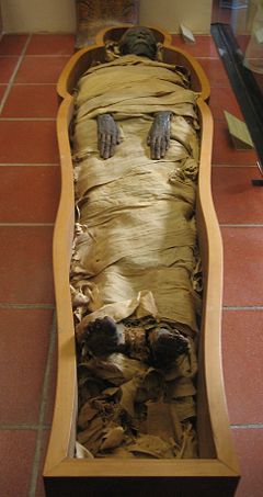 An Egyptian mummy kept in the Vatican Museums.