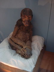 A mummified monkey at the Egyptian Museum in Cairo