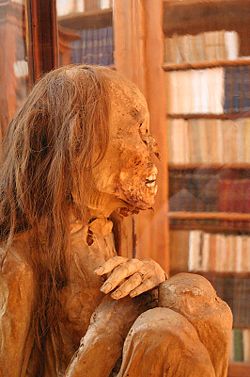 Peruvian mummy at the Carmo Convent (Lisbon).