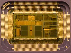Die of an Intel 80486DX2 microprocessor (actual size: 12×6.75 mm) in its packaging.
