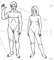 Humans depicted on the Pioneer plaque