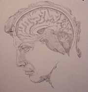 A sketch of the human brain imposed upon the profile of Michelangelo's David. Sketch by Priyan Weerappuli.