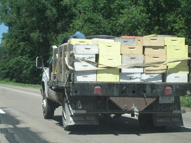 Image:Beehives on the road.jpg