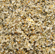 Close-up of sand from a beach in Vancouver, showing a surface area of (approximately) between 1-2 square centimetres.