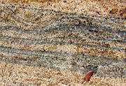 Heavy minerals (dark) in a quartz beach sand (Chennai, India).