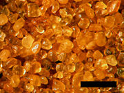 Sand from Coral Pink Sand Dunes State Park, Utah. These are grains of quartz with a hematite coating providing the orange color. Scale bar is 1.0 mm.